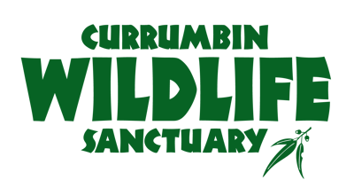 Currumbin-wildlife-sanctuary-logo